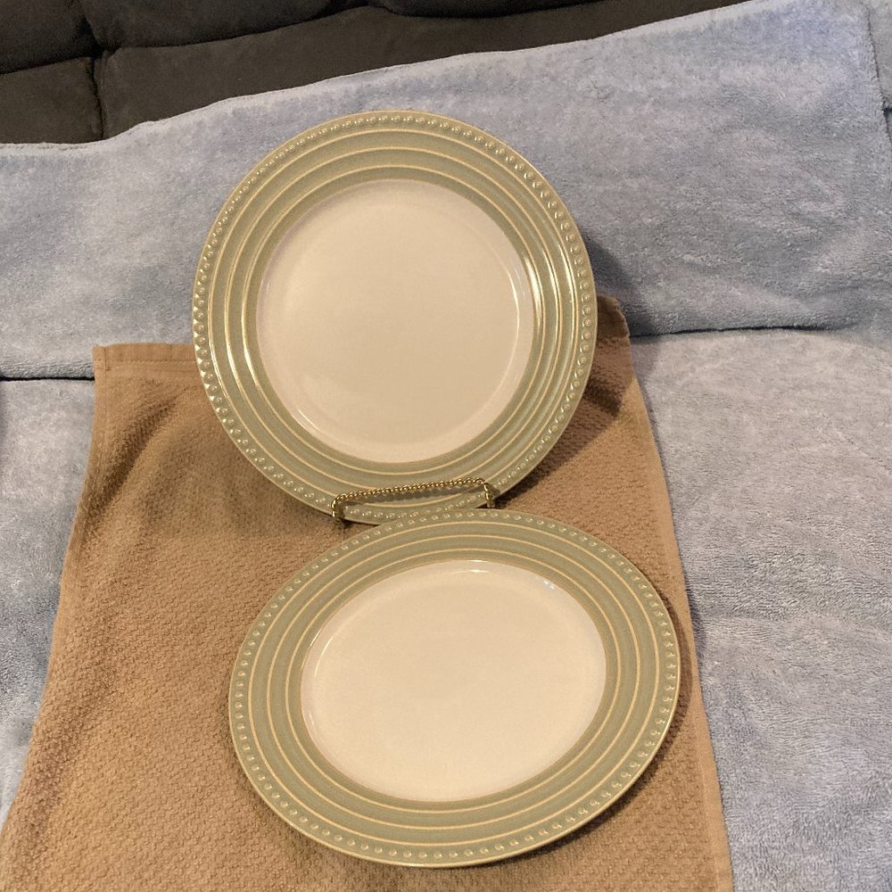 2002 Dansk Reactic Sage Salad Plates-Set Of 2 Salad Plates-9.25" Dia-New w/Tags